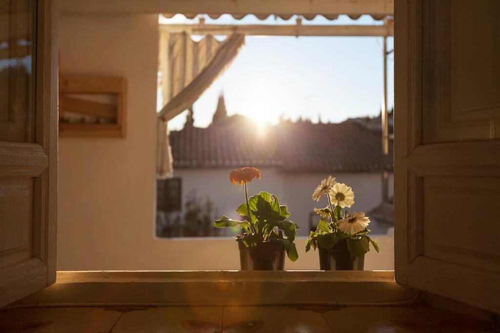 Casita A La Luz De La Alhambra Daire Granada Dış mekan fotoğraf
